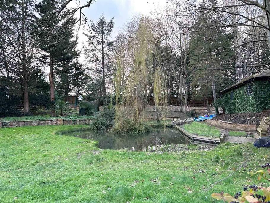 Apartment Forest Gated Parking On 2 Acres Garden
