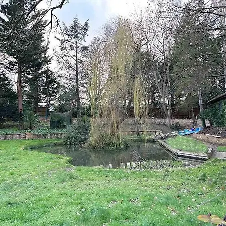 Forest Studio Apartment Gated Parking On 2 Acres Garden Chislehurst Exterior photo